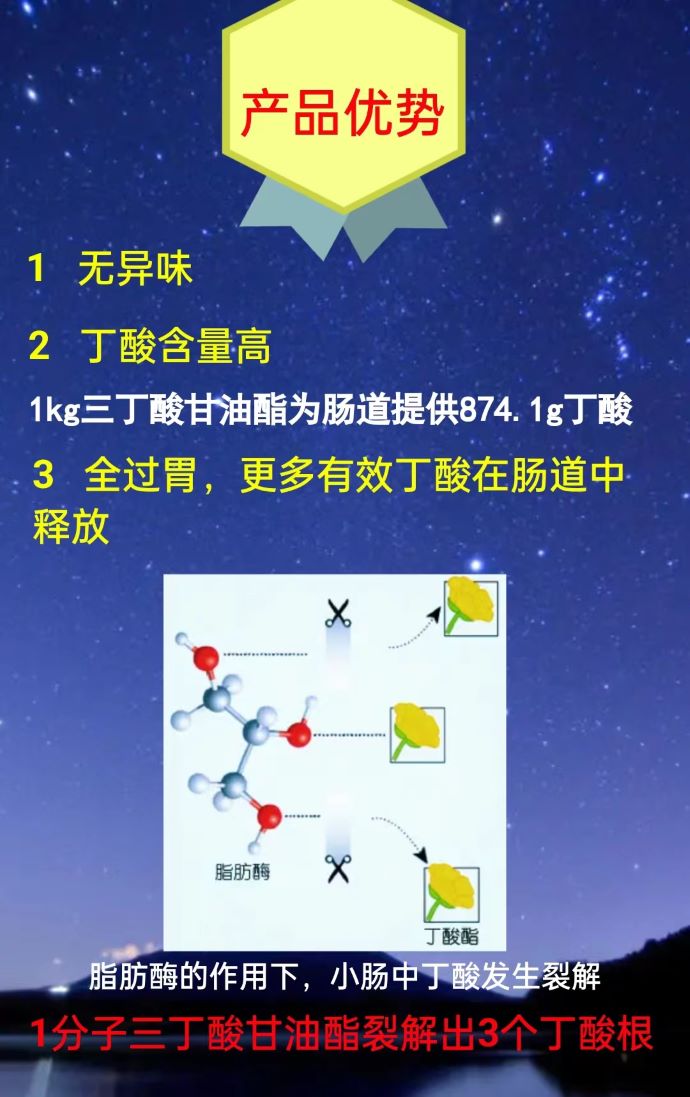 ��ϵ����